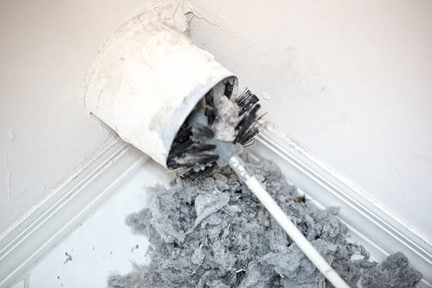 Best Ventilation Cleaning Services  in Morenci, MI