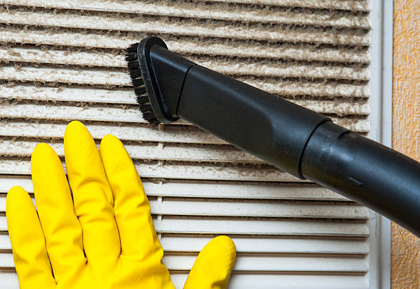 Best HVAC Air Duct Cleaning  in Morenci, MI